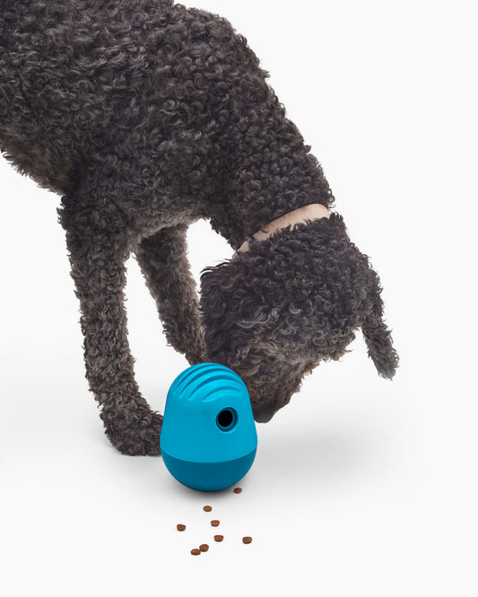 Ocean Blue | O/S | 40-lb dog | Sizer
