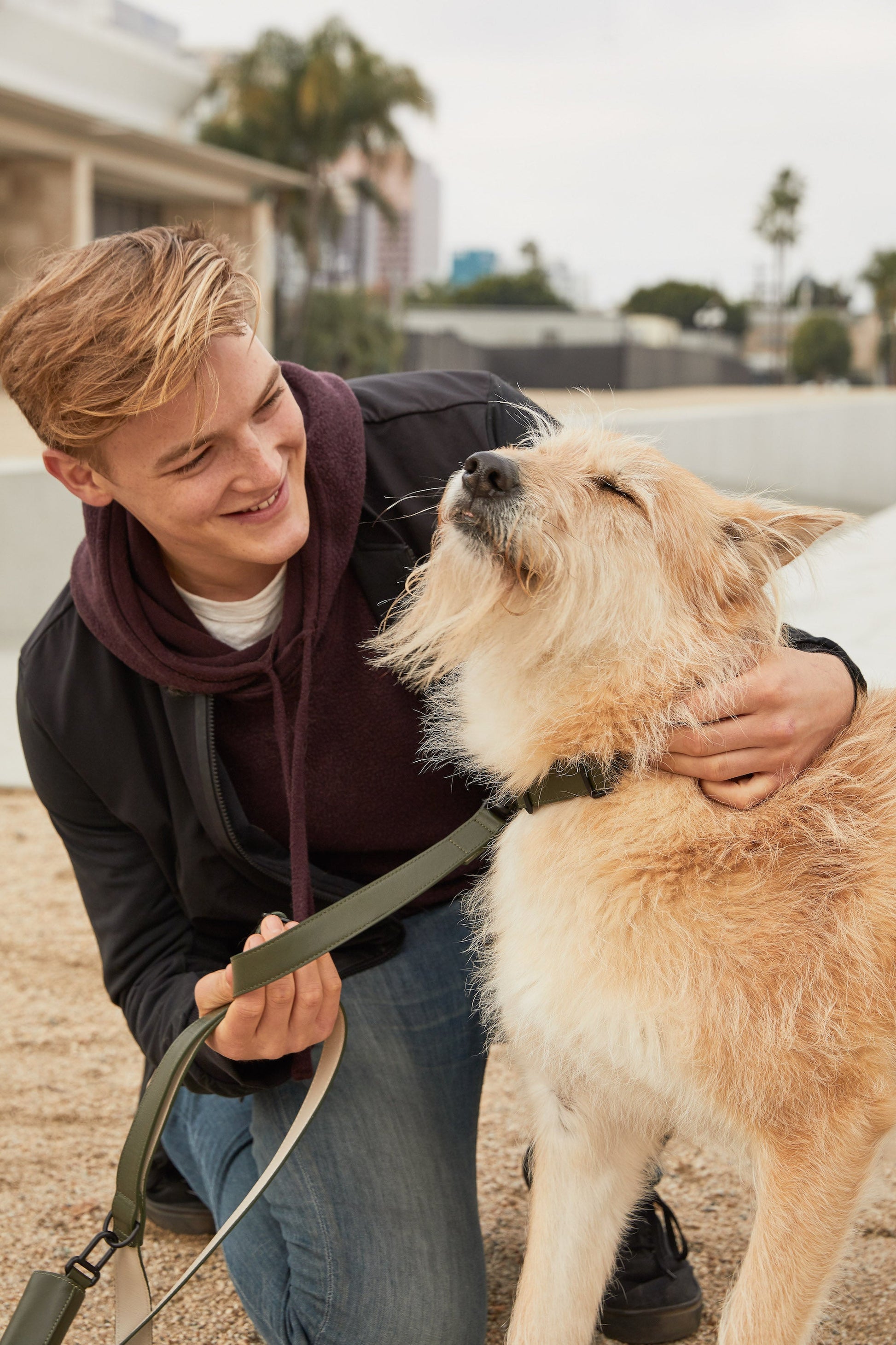 Dark Green | M | 55-lb dog | Sizer