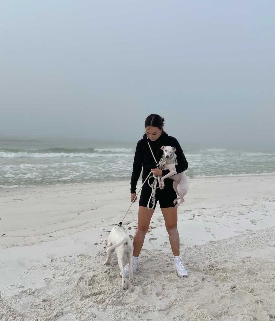 Ivory | XS/S | 14-lb dog | Sizer