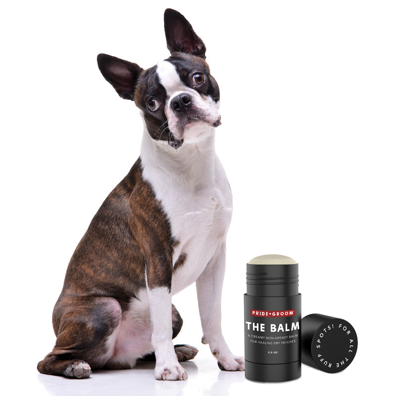 Pride + Groom THE BALM — Natural Paw & Nose Moisturizing Balm for Dogs & Cats