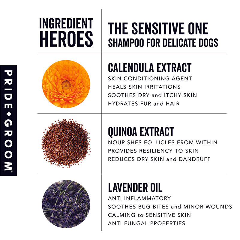 Pride + Groom THE SENSITIVE ONE Hypoallergenic Dog & Puppy Shampoo
