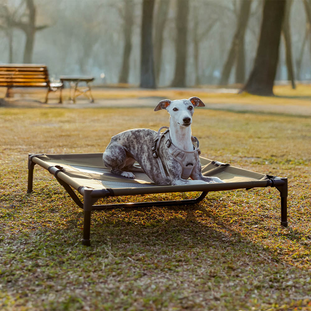 Multi-Functional Breathable Outdoor Cooling Elevated Dog Bed with Canopy Raised Dog Bed Dog Cot for Camp - PawAir