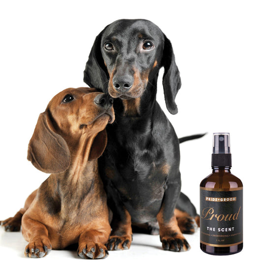 Pride + Groom PROUD Dog & Cat Natural Deodorizing Pet Cologne