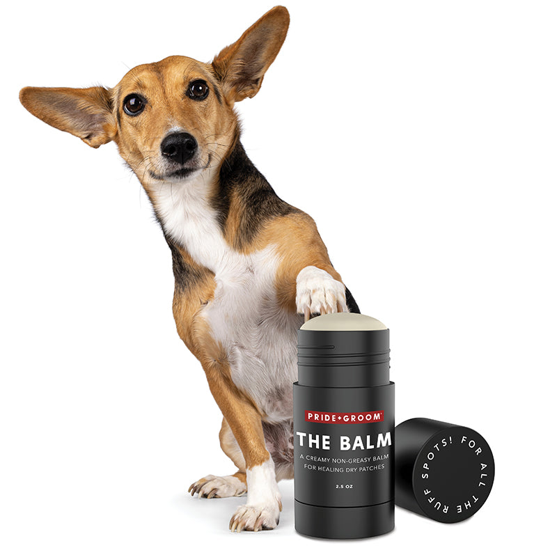Pride + Groom THE BALM — Natural Paw & Nose Moisturizing Balm for Dogs & Cats