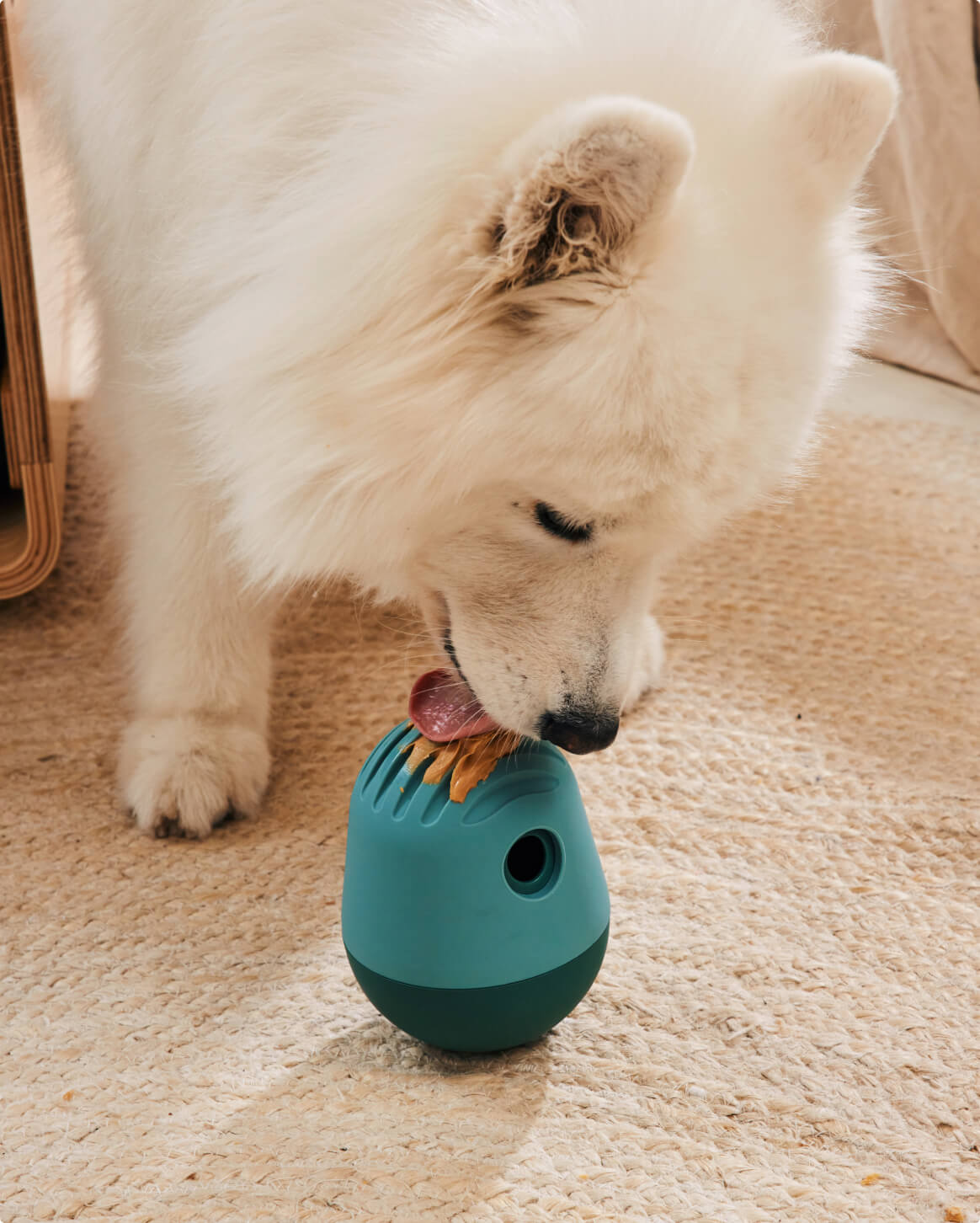 Green | O/S | 50-lb dog | Sizer
