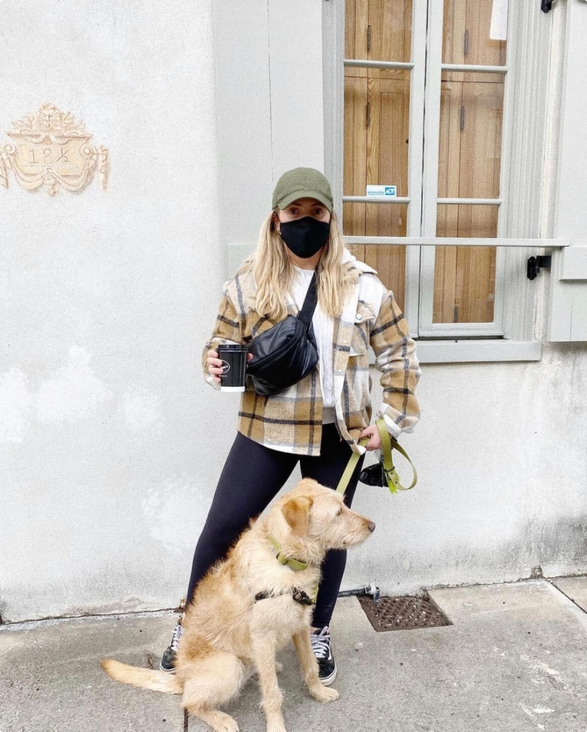 Light Green | M | 38-lb dog | Sizer