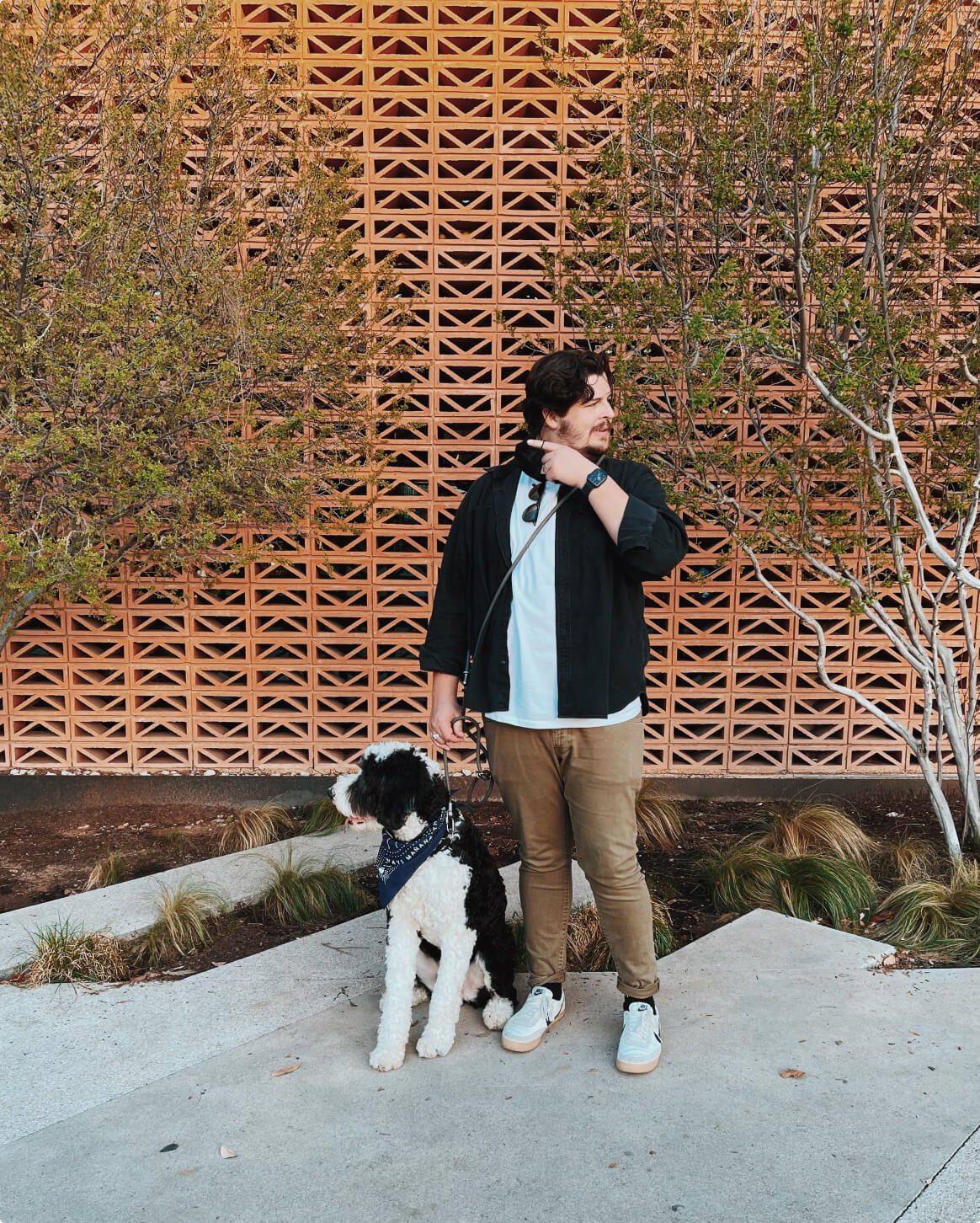 Dark Grey | M/L | 62-lb dog | Sizer