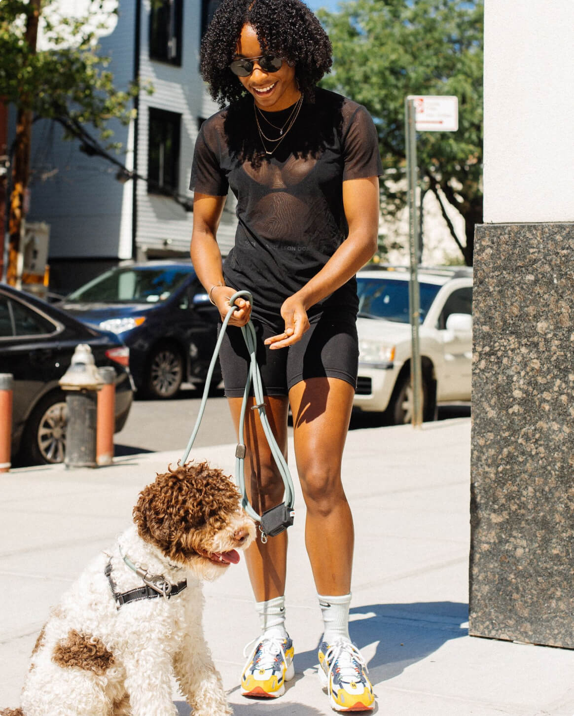 Green | M/L | 30-lb dog | Sizer